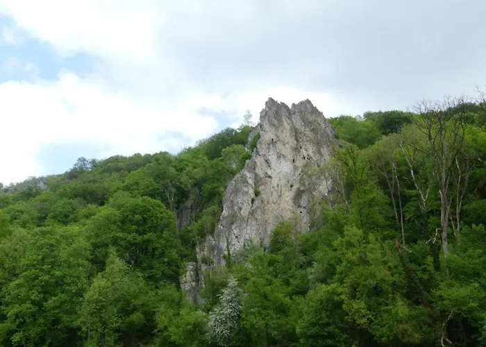 Hébergement de vacances Au Bois